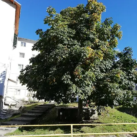 Apartament Langa Castan Azuga